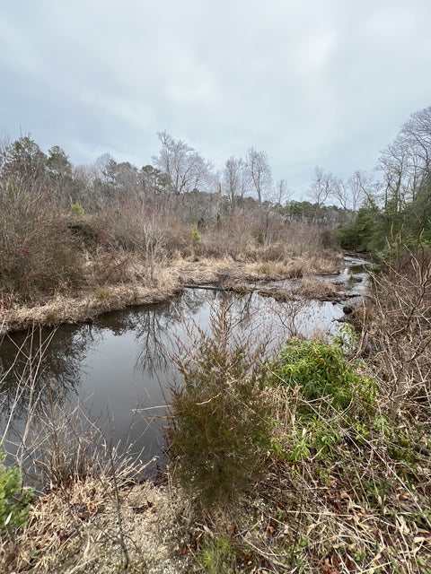 The Chesapeake Is More Than a Bay